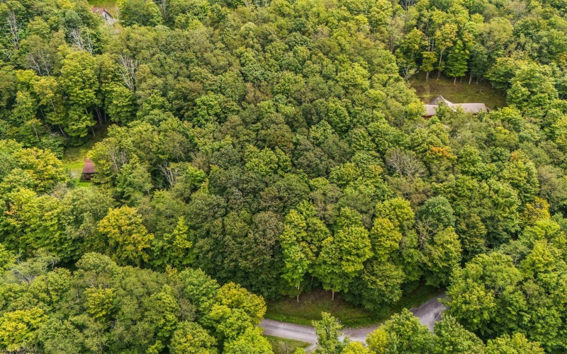 126 Mountainside Road, Davis, West Virginia 26260, 0 , 0 ,0,Lots/land,For Sale,Mountainside,0,10166764