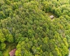 126 Mountainside Road, Davis, West Virginia 26260, 0 , 0 ,0,Lots/land,For Sale,Mountainside,0,10166764