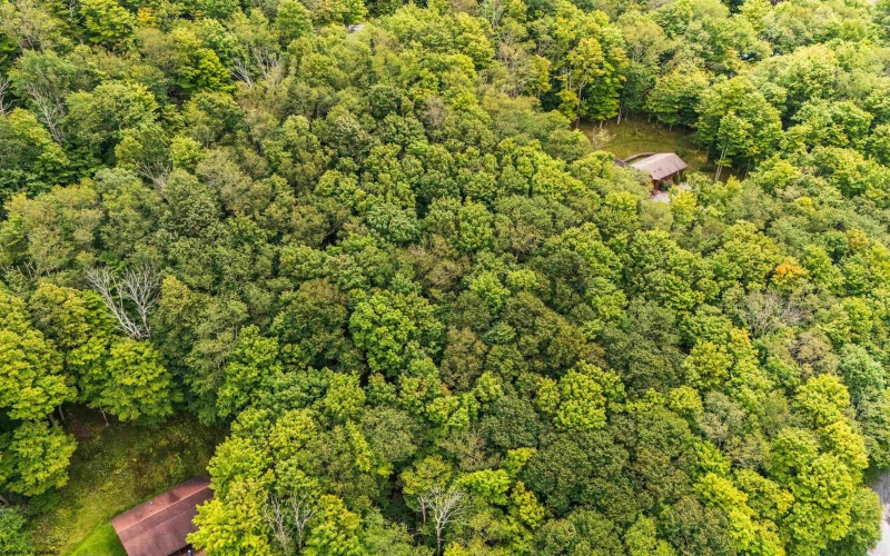 126 Mountainside Road, Davis, West Virginia 26260, 0 , 0 ,0,Lots/land,For Sale,Mountainside,0,10166764