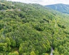126 Mountainside Road, Davis, West Virginia 26260, 0 , 0 ,0,Lots/land,For Sale,Mountainside,0,10166764