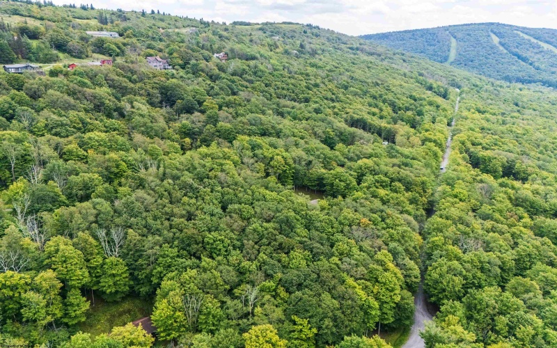 126 Mountainside Road, Davis, West Virginia 26260, 0 , 0 ,0,Lots/land,For Sale,Mountainside,0,10166764