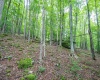 126 Mountainside Road, Davis, West Virginia 26260, 0 , 0 ,0,Lots/land,For Sale,Mountainside,0,10166764