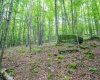 126 Mountainside Road, Davis, West Virginia 26260, 0 , 0 ,0,Lots/land,For Sale,Mountainside,0,10166764