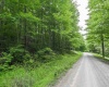 126 Mountainside Road, Davis, West Virginia 26260, 0 , 0 ,0,Lots/land,For Sale,Mountainside,0,10166764