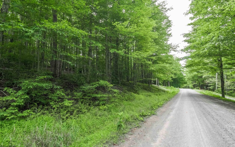 126 Mountainside Road, Davis, West Virginia 26260, 0 , 0 ,0,Lots/land,For Sale,Mountainside,0,10166764
