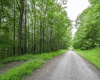 126 Mountainside Road, Davis, West Virginia 26260, 0 , 0 ,0,Lots/land,For Sale,Mountainside,0,10166764