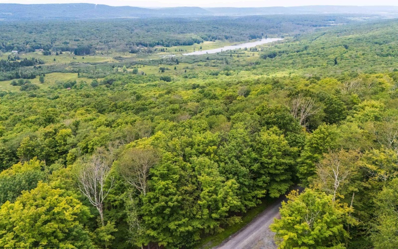 126 Mountainside Road, Davis, West Virginia 26260, 0 , 0 ,0,Lots/land,For Sale,Mountainside,0,10166764