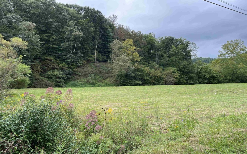 9738 Buckhannon Pike, Lost Creek, West Virginia 26385, 0 , 0 ,0,Lots/land,For Sale,Buckhannon,0,10161293