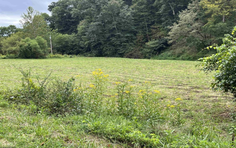 9738 Buckhannon Pike, Lost Creek, West Virginia 26385, 0 , 0 ,0,Lots/land,For Sale,Buckhannon,0,10161293