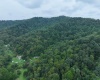 162 Sheets Hollow Road, Wana, West Virginia 26590, 0 , 0 ,0,Lots/land,For Sale,Sheets Hollow,0,10166758