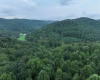 162 Sheets Hollow Road, Wana, West Virginia 26590, 0 , 0 ,0,Lots/land,For Sale,Sheets Hollow,0,10166758