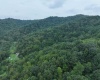 162 Sheets Hollow Road, Wana, West Virginia 26590, 0 , 0 ,0,Lots/land,For Sale,Sheets Hollow,0,10166758