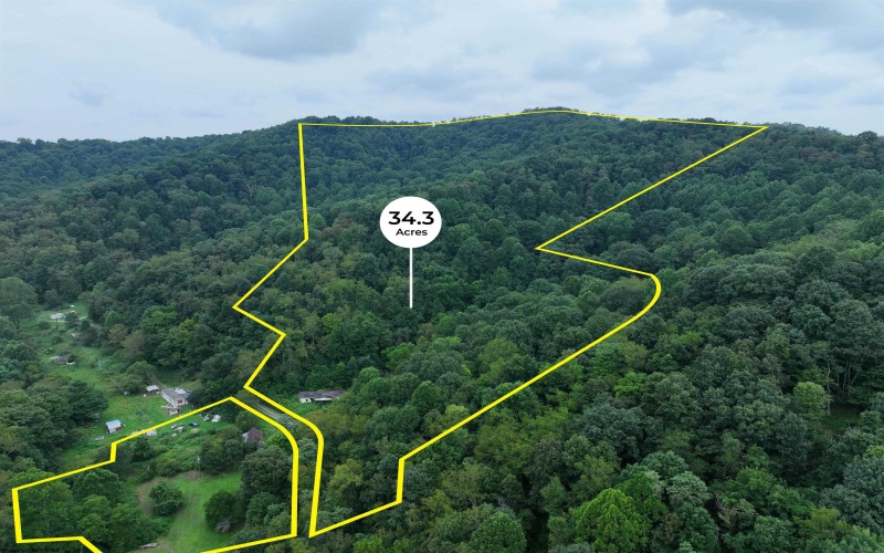162 Sheets Hollow Road, Wana, West Virginia 26590, 0 , 0 ,0,Lots/land,For Sale,Sheets Hollow,0,10166758