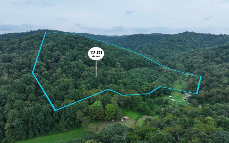 162 Sheets Hollow Road, Wana, West Virginia 26590, 0 , 0 ,0,Lots/land,For Sale,Sheets Hollow,0,10166758