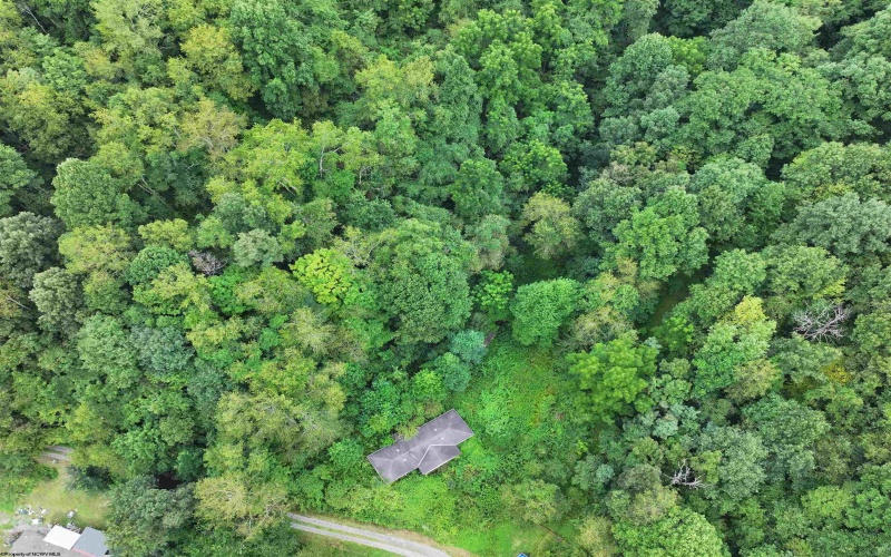 162 Sheets Hollow Road, Wana, West Virginia 26590, 0 , 0 ,0,Lots/land,For Sale,Sheets Hollow,0,10166758