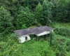 162 Sheets Hollow Road, Wana, West Virginia 26590, 0 , 0 ,0,Lots/land,For Sale,Sheets Hollow,0,10166758