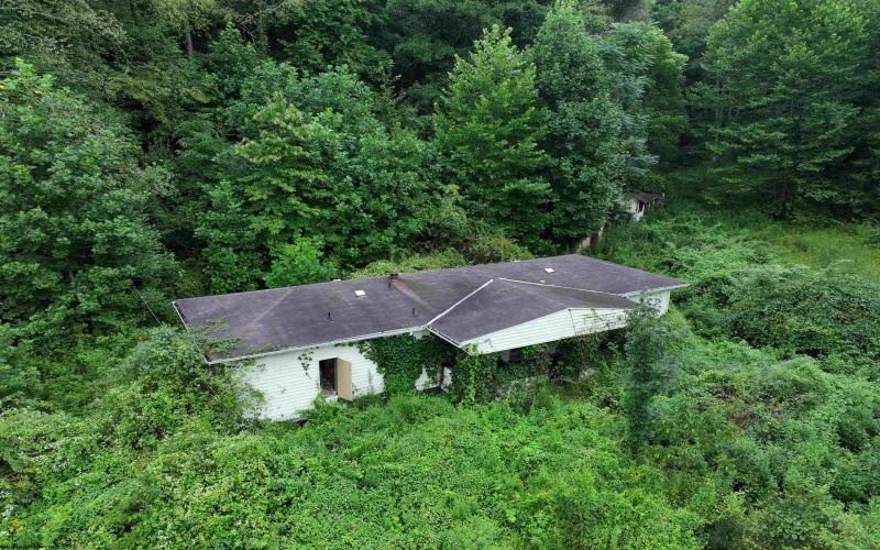 162 Sheets Hollow Road, Wana, West Virginia 26590, 0 , 0 ,0,Lots/land,For Sale,Sheets Hollow,0,10166758