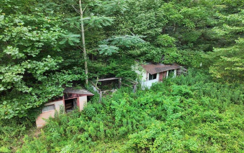 162 Sheets Hollow Road, Wana, West Virginia 26590, 0 , 0 ,0,Lots/land,For Sale,Sheets Hollow,0,10166758
