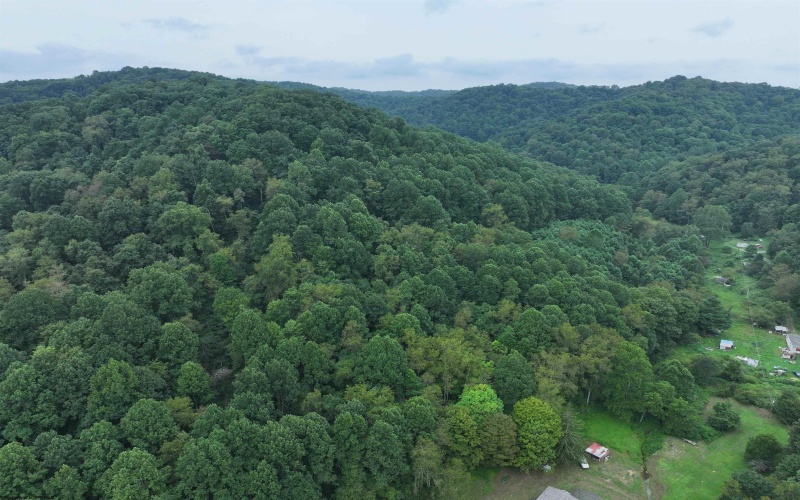 162 Sheets Hollow Road, Wana, West Virginia 26590, 0 , 0 ,0,Lots/land,For Sale,Sheets Hollow,0,10166758