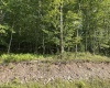Lot 7 Possum Hollow Road, Terra Alta, West Virginia 26764, 0 , 0 ,0,Lots/land,For Sale,Possum Hollow,0,10166772