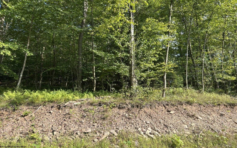Lot 7 Possum Hollow Road, Terra Alta, West Virginia 26764, 0 , 0 ,0,Lots/land,For Sale,Possum Hollow,0,10166772
