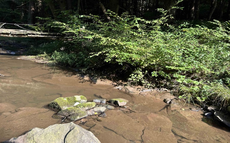 Lot 7 Possum Hollow Road, Terra Alta, West Virginia 26764, 0 , 0 ,0,Lots/land,For Sale,Possum Hollow,0,10166772