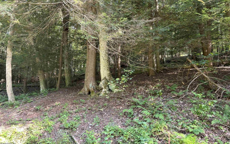 Lot 7 Possum Hollow Road, Terra Alta, West Virginia 26764, 0 , 0 ,0,Lots/land,For Sale,Possum Hollow,0,10166772