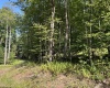 Lot 7 Possum Hollow Road, Terra Alta, West Virginia 26764, 0 , 0 ,0,Lots/land,For Sale,Possum Hollow,0,10166772