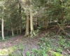 Lot 7 Possum Hollow Road, Terra Alta, West Virginia 26764, 0 , 0 ,0,Lots/land,For Sale,Possum Hollow,0,10166772