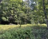 Lot 7 Possum Hollow Road, Terra Alta, West Virginia 26764, 0 , 0 ,0,Lots/land,For Sale,Possum Hollow,0,10166772