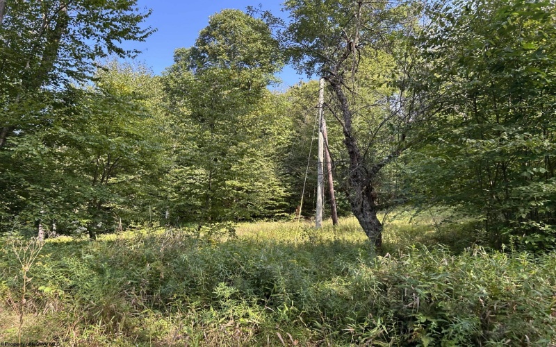 Lot 7 Possum Hollow Road, Terra Alta, West Virginia 26764, 0 , 0 ,0,Lots/land,For Sale,Possum Hollow,0,10166772