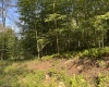 Lot 7 Possum Hollow Road, Terra Alta, West Virginia 26764, 0 , 0 ,0,Lots/land,For Sale,Possum Hollow,0,10166772