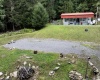 10455 Alexander Road, French Creek, West Virginia 26218, 0 , 0 ,0,Lots/land,For Sale,Alexander,0,10166783 10455 Alexander Road, French Creek, West Virginia 26218, 0 , 0 ,0,Lots/land,For Sale,Alexander,0,10166783