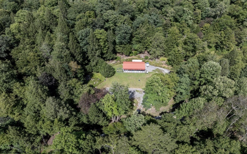 10455 Alexander Road, French Creek, West Virginia 26218, 0 , 0 ,0,Lots/land,For Sale,Alexander,0,10166783 10455 Alexander Road, French Creek, West Virginia 26218, 0 , 0 ,0,Lots/land,For Sale,Alexander,0,10166783