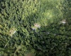 10455 Alexander Road, French Creek, West Virginia 26218, 0 , 0 ,0,Lots/land,For Sale,Alexander,0,10166783 10455 Alexander Road, French Creek, West Virginia 26218, 0 , 0 ,0,Lots/land,For Sale,Alexander,0,10166783