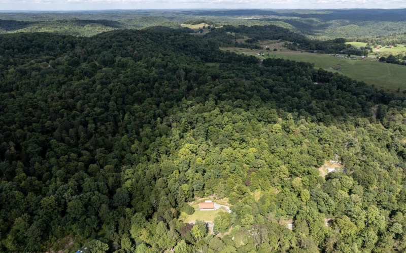 10455 Alexander Road, French Creek, West Virginia 26218, 0 , 0 ,0,Lots/land,For Sale,Alexander,0,10166783 10455 Alexander Road, French Creek, West Virginia 26218, 0 , 0 ,0,Lots/land,For Sale,Alexander,0,10166783