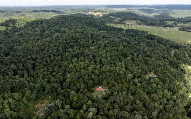 10455 Alexander Road, French Creek, West Virginia 26218, 0 , 0 ,0,Lots/land,For Sale,Alexander,0,10166783 10455 Alexander Road, French Creek, West Virginia 26218, 0 , 0 ,0,Lots/land,For Sale,Alexander,0,10166783