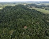 10455 Alexander Road, French Creek, West Virginia 26218, 0 , 0 ,0,Lots/land,For Sale,Alexander,0,10166783 10455 Alexander Road, French Creek, West Virginia 26218, 0 , 0 ,0,Lots/land,For Sale,Alexander,0,10166783