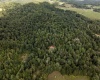10455 Alexander Road, French Creek, West Virginia 26218, 0 , 0 ,0,Lots/land,For Sale,Alexander,0,10166783 10455 Alexander Road, French Creek, West Virginia 26218, 0 , 0 ,0,Lots/land,For Sale,Alexander,0,10166783