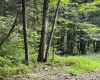 Lot 9 Possum Hollow Road, Terra Alta, West Virginia 26764, 0 , 0 ,0,Lots/land,For Sale,Possum Hollow,0,10166773