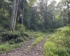Lot 9 Possum Hollow Road, Terra Alta, West Virginia 26764, 0 , 0 ,0,Lots/land,For Sale,Possum Hollow,0,10166773