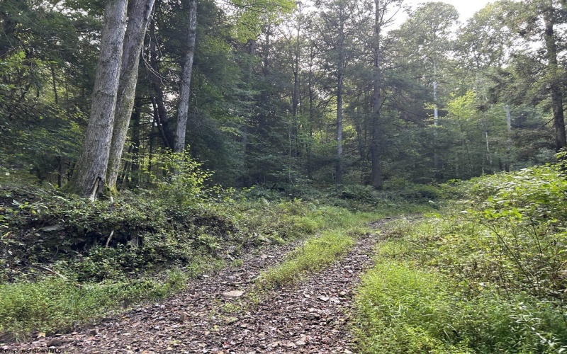 Lot 9 Possum Hollow Road, Terra Alta, West Virginia 26764, 0 , 0 ,0,Lots/land,For Sale,Possum Hollow,0,10166773