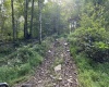 Lot 9 Possum Hollow Road, Terra Alta, West Virginia 26764, 0 , 0 ,0,Lots/land,For Sale,Possum Hollow,0,10166773