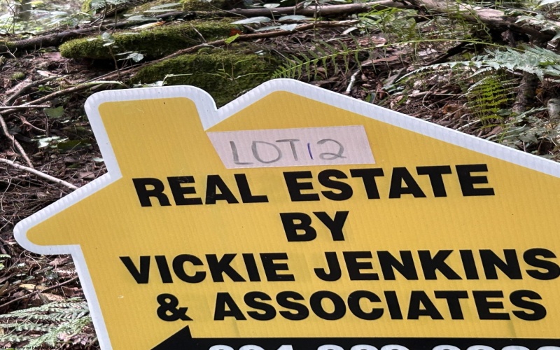 Lot 9 Possum Hollow Road, Terra Alta, West Virginia 26764, 0 , 0 ,0,Lots/land,For Sale,Possum Hollow,0,10166773
