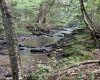 Lot 9 Possum Hollow Road, Terra Alta, West Virginia 26764, 0 , 0 ,0,Lots/land,For Sale,Possum Hollow,0,10166773