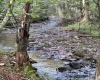 Lot 9 Possum Hollow Road, Terra Alta, West Virginia 26764, 0 , 0 ,0,Lots/land,For Sale,Possum Hollow,0,10166773