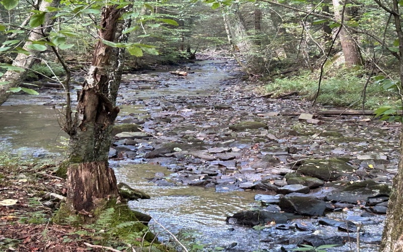 Lot 9 Possum Hollow Road, Terra Alta, West Virginia 26764, 0 , 0 ,0,Lots/land,For Sale,Possum Hollow,0,10166773