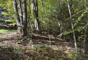 Lot 9 Possum Hollow Road, Terra Alta, West Virginia 26764, 0 , 0 ,0,Lots/land,For Sale,Possum Hollow,0,10166773