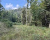 Lot 9 Possum Hollow Road, Terra Alta, West Virginia 26764, 0 , 0 ,0,Lots/land,For Sale,Possum Hollow,0,10166773