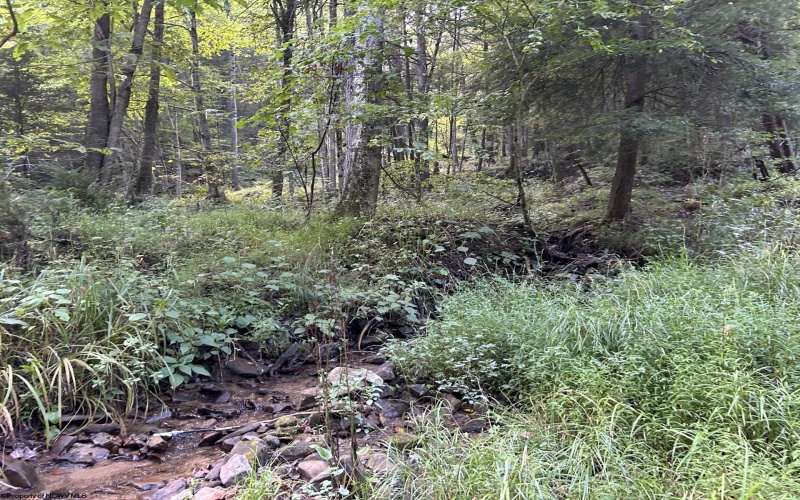 Lot 9 Possum Hollow Road, Terra Alta, West Virginia 26764, 0 , 0 ,0,Lots/land,For Sale,Possum Hollow,0,10166773